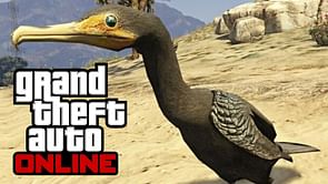 How to become a Great Cormorant in GTA Online via Peyote Plants