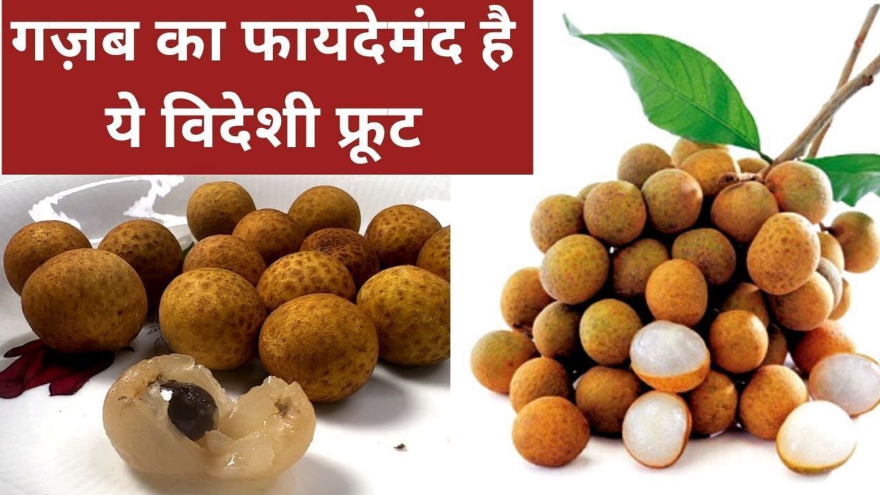 लौंगन फल के फायदे (sportskeeda Hindi) 