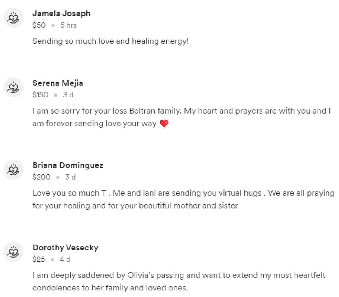 Netizens flood the internet with loving messages as Olivia Beltran passes away (Image via GoFundMe)