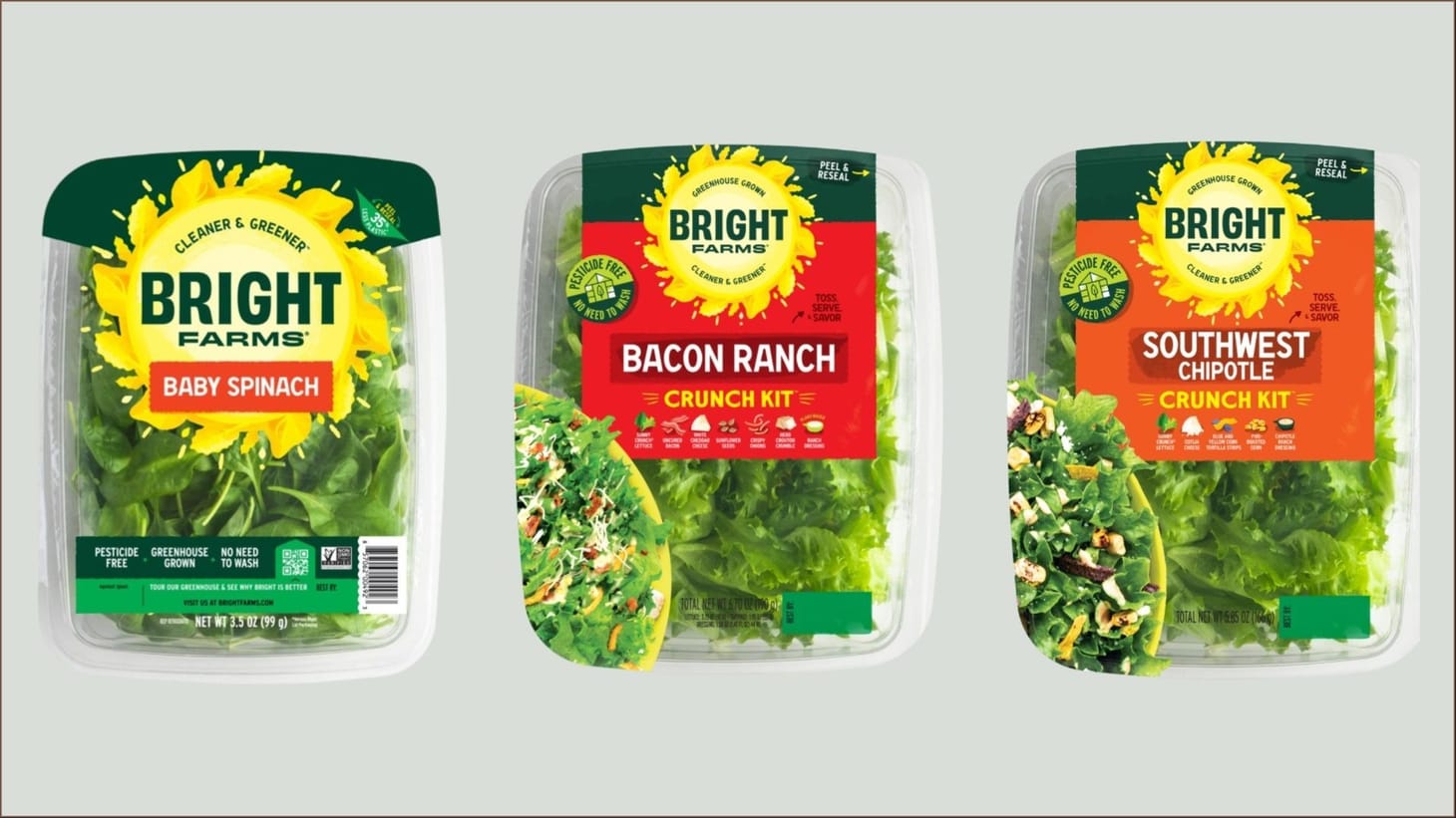 BrightFarms recalls Spinach and Salad Kits Reason, affected products