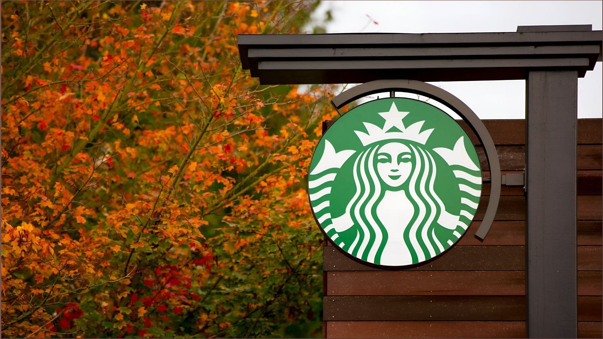 The coffeehouse chain refutes the allegations from NCL&#039;s lawsuits (Image via Starbucks)