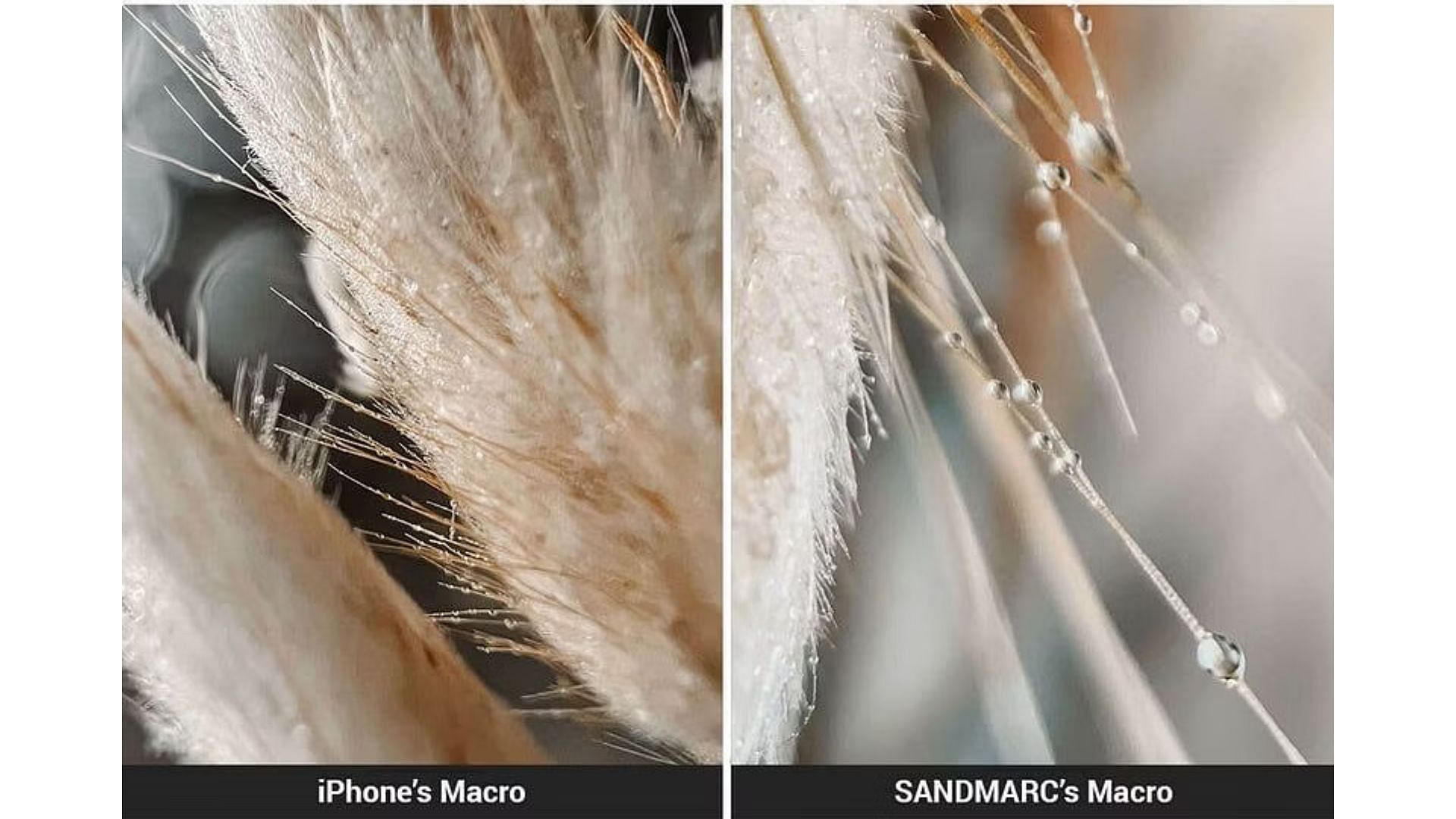 Sandmarc Macro Lens (Image via Sandmarc)