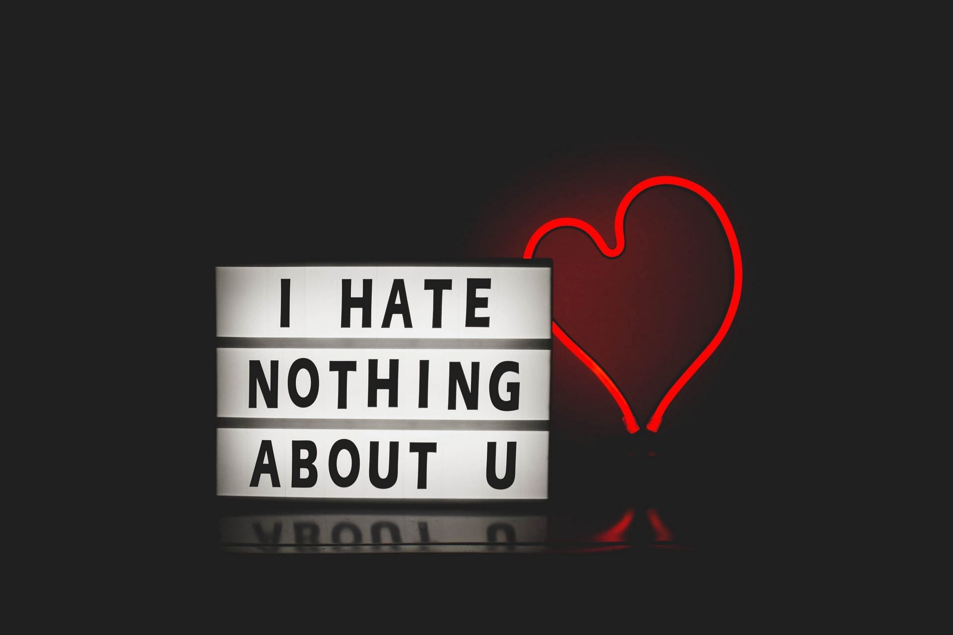 Hate Nothing About You (Image via Pexels)