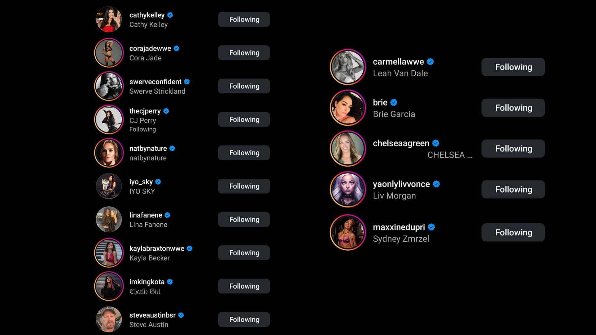 Screenshot of some more stars&#039; likes on Bayley&#039;s Instagram post.