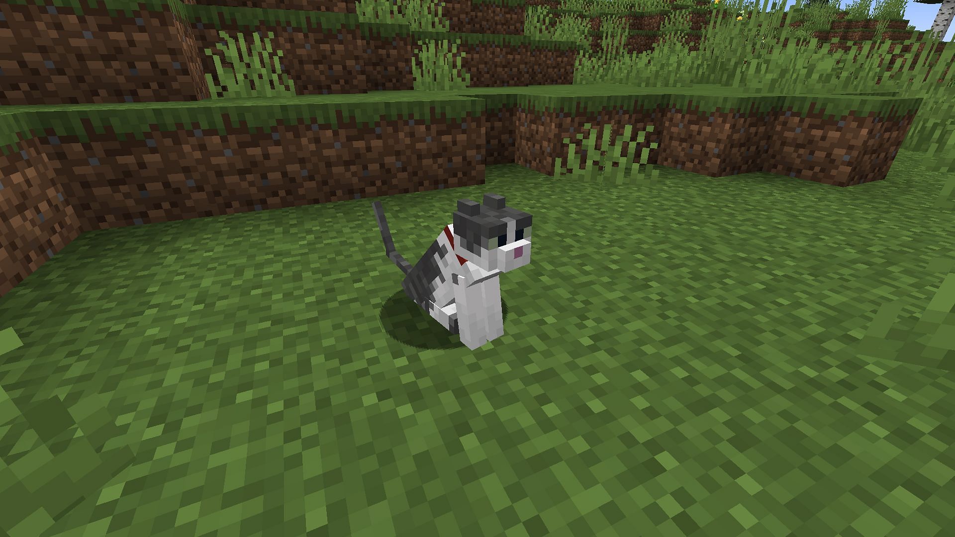 Jellie&#039;s presence within the game will be felt well into the future (Image via Mojang)
