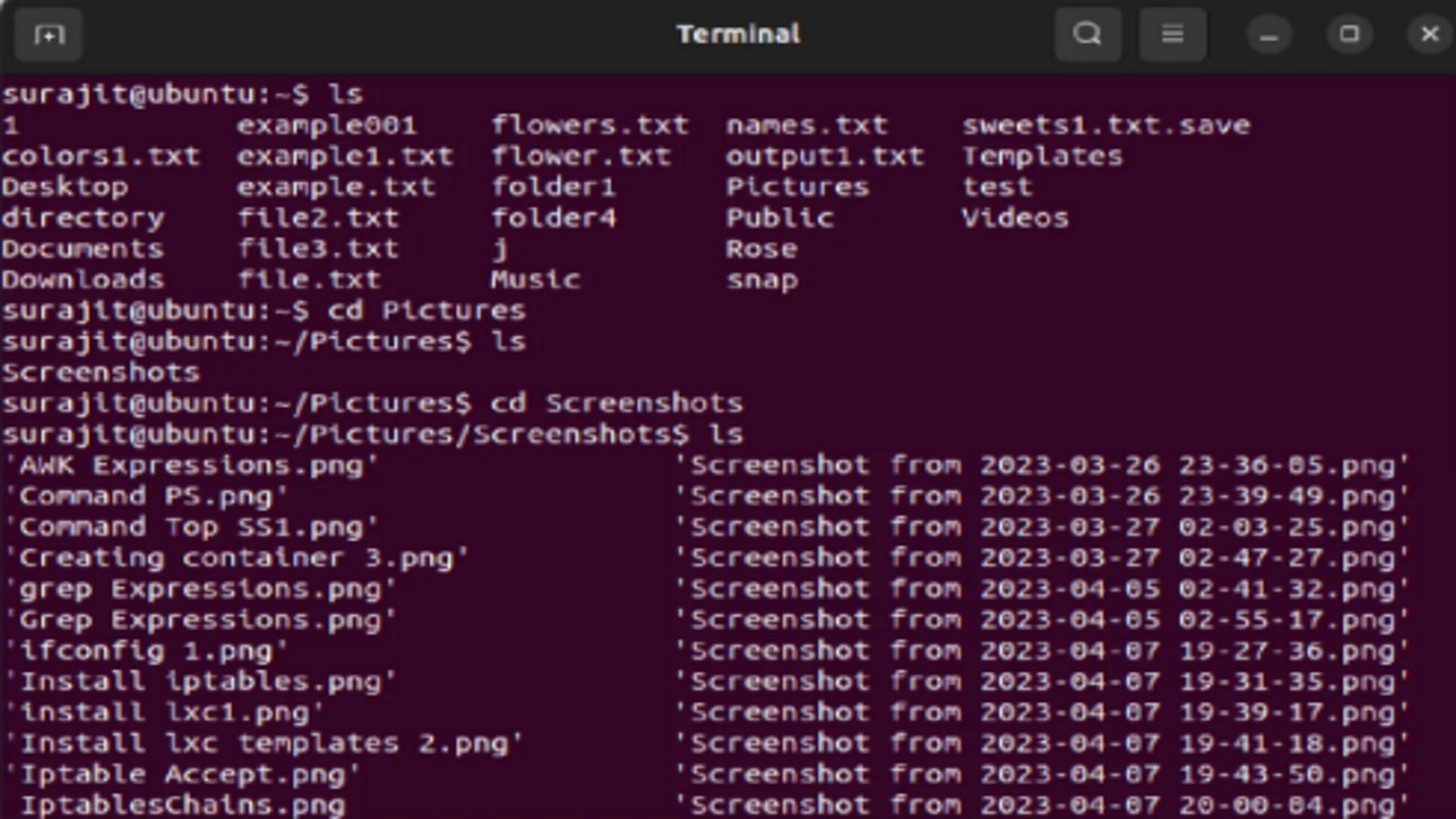 cd command (Image via Ubuntu)