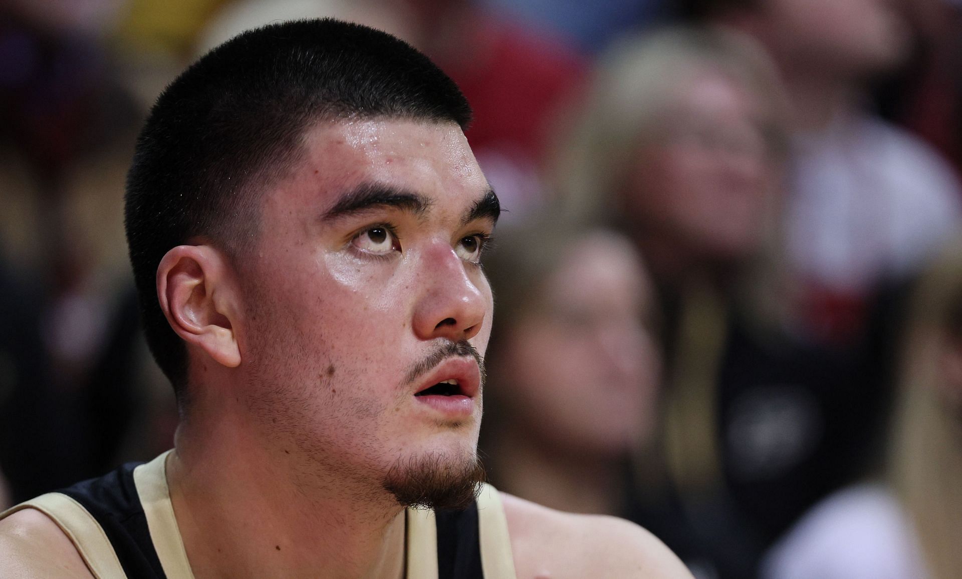 Purdue center Zach Edey, returning National Player of the Year, is all but guaranteed an NCAA Tournament appearance this season.