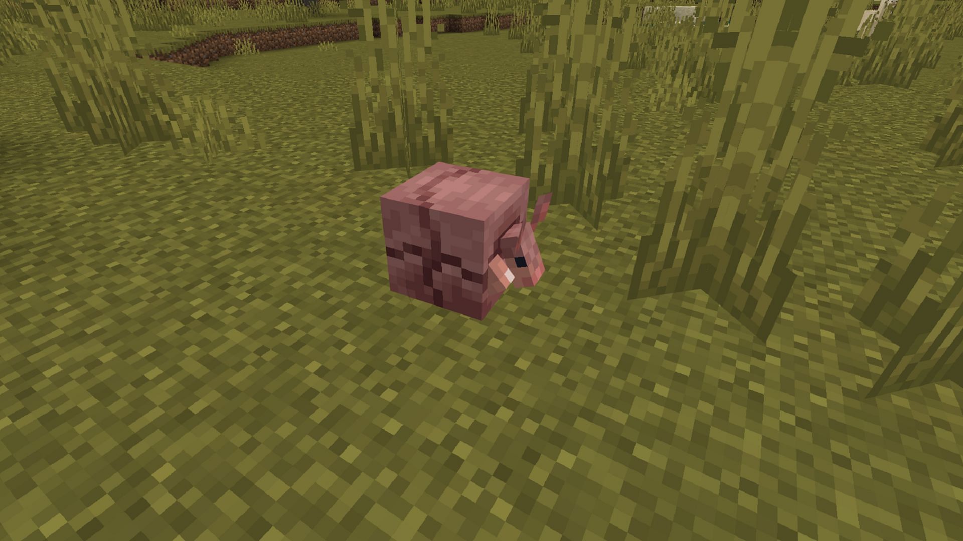 An armadillo curls up in response to attacks in Minecraft Bedrock Preview 1.20.70.20.