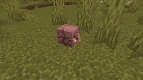 5 major changes in Minecraft Bedrock 1.20.70.20 beta and preview