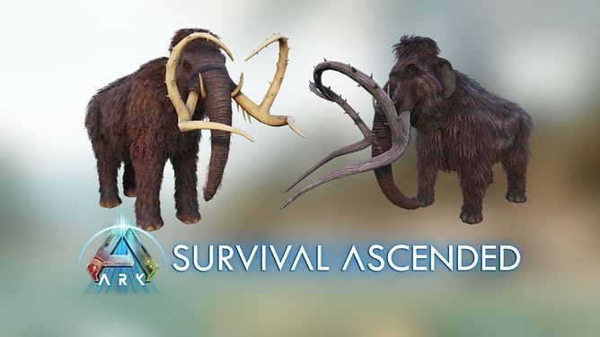 ARK Survival Ascended Mammoth taming guide