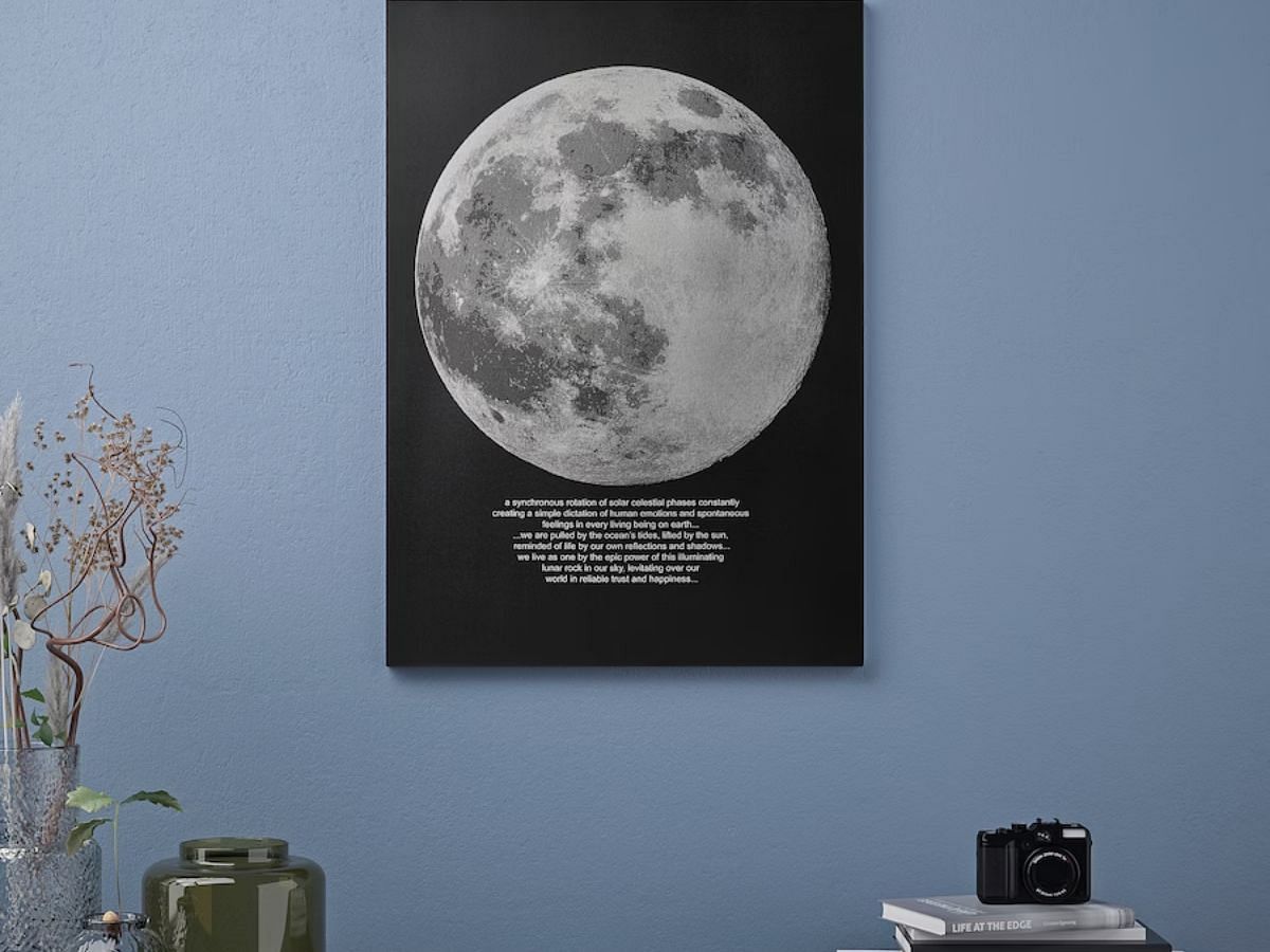 PJ&Auml;TTERYD Picture, moonlight (Image via IKEA)