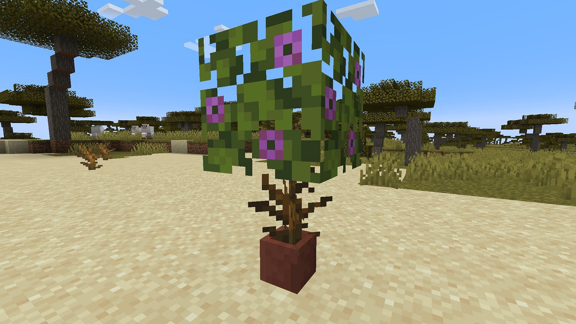 A &quot;useless&quot; dead bush can be useful for custom plants in Minecraft.
