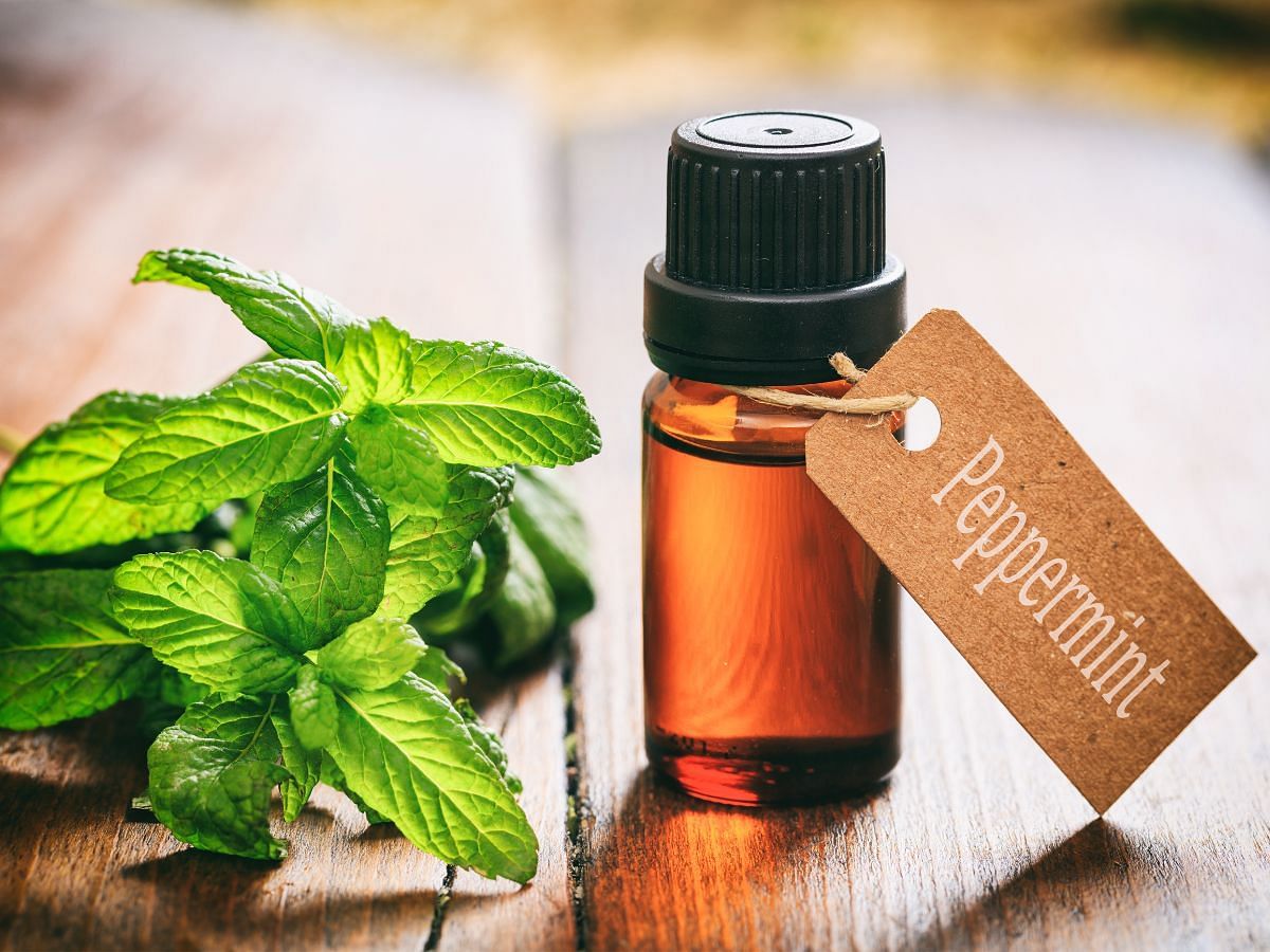 5 skin benefits of Peppermint oil (Image via Pexels)