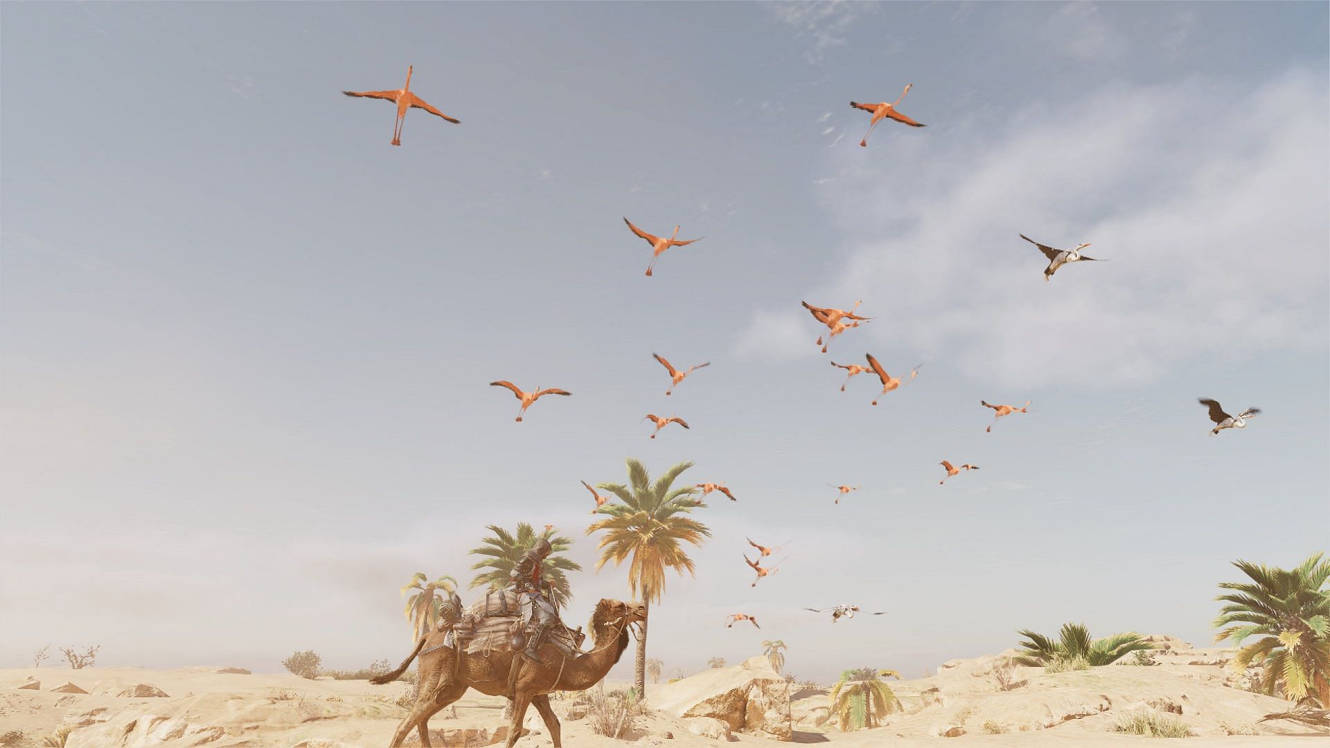 The ever-expanding lifeless horizons of Assassin&#039;s Creed Mirage. (Image via Ubisoft)