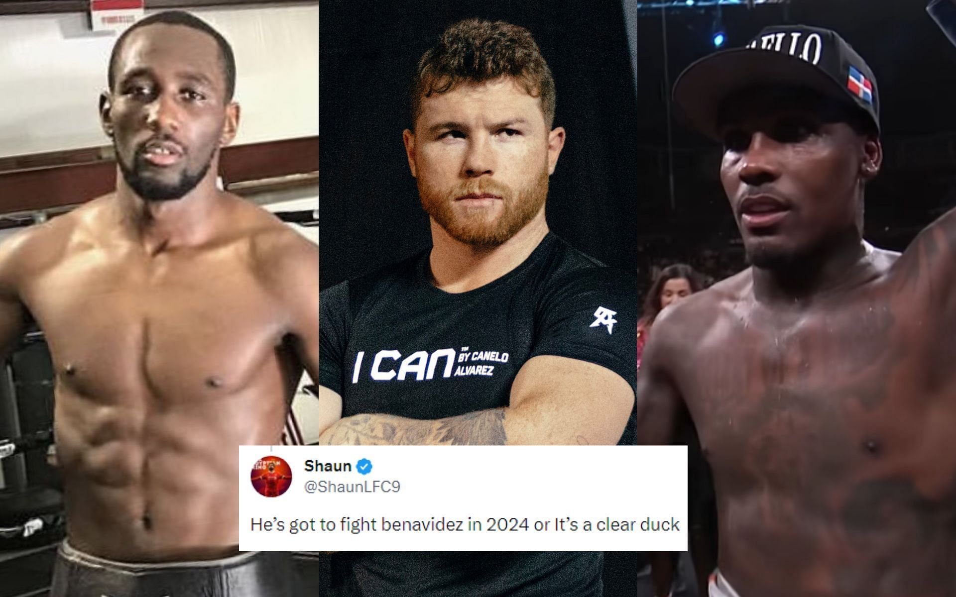 Fans reacted after Canelo Alvarez