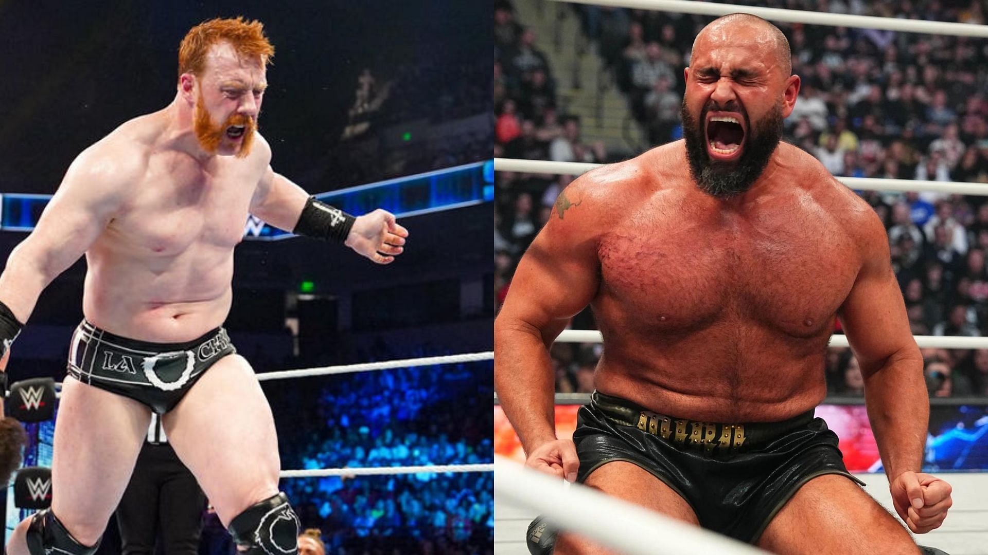 Miro and Sheamus both worked with each other in WWE