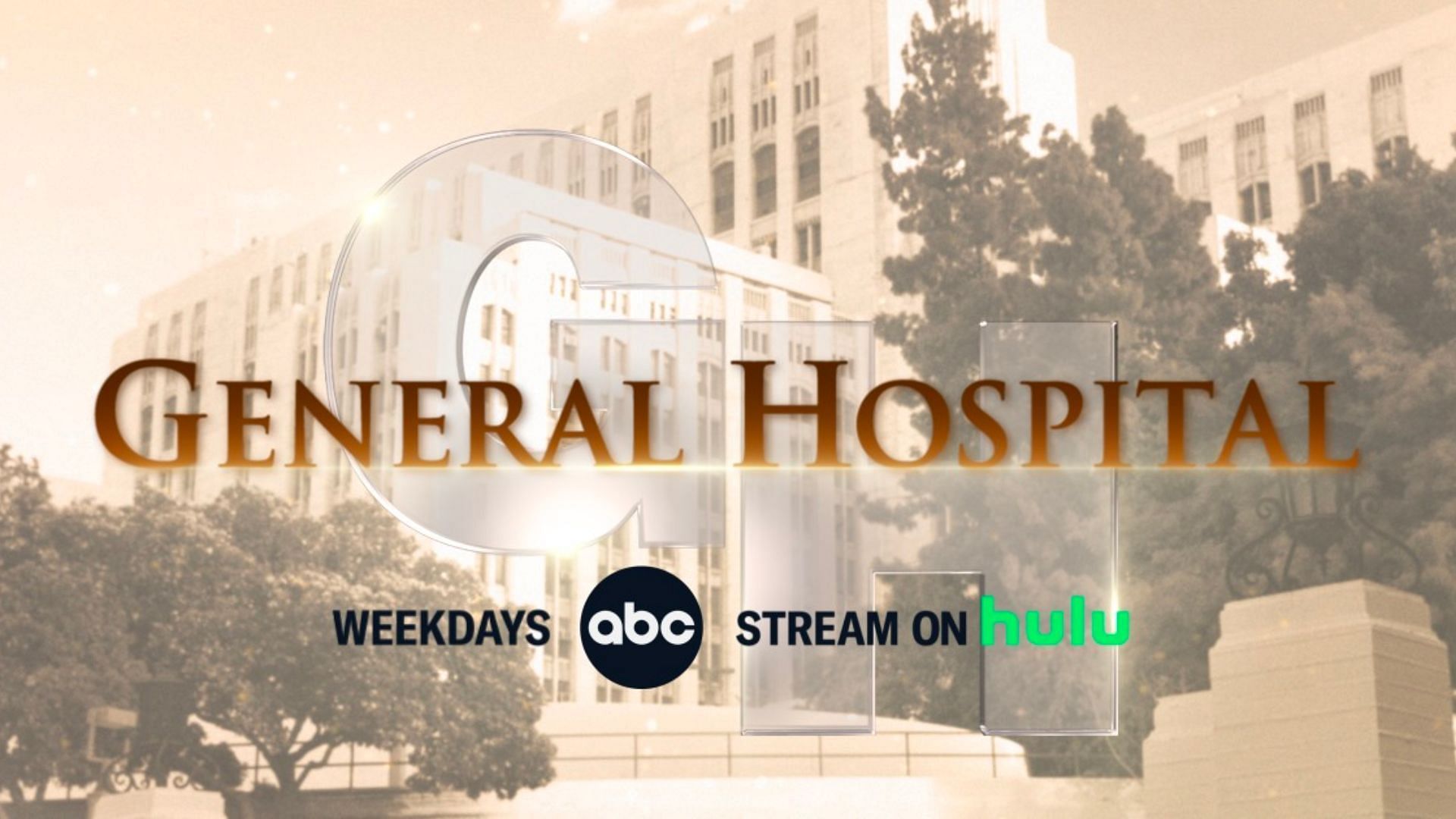 The couple had originally met on the sets of General Hospital (Image via Hulu)