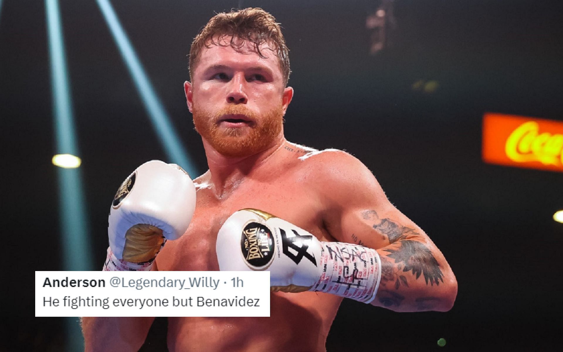 Canelo Alvarez Next Opponent: "He Fighting Everyone But Benavidez ...