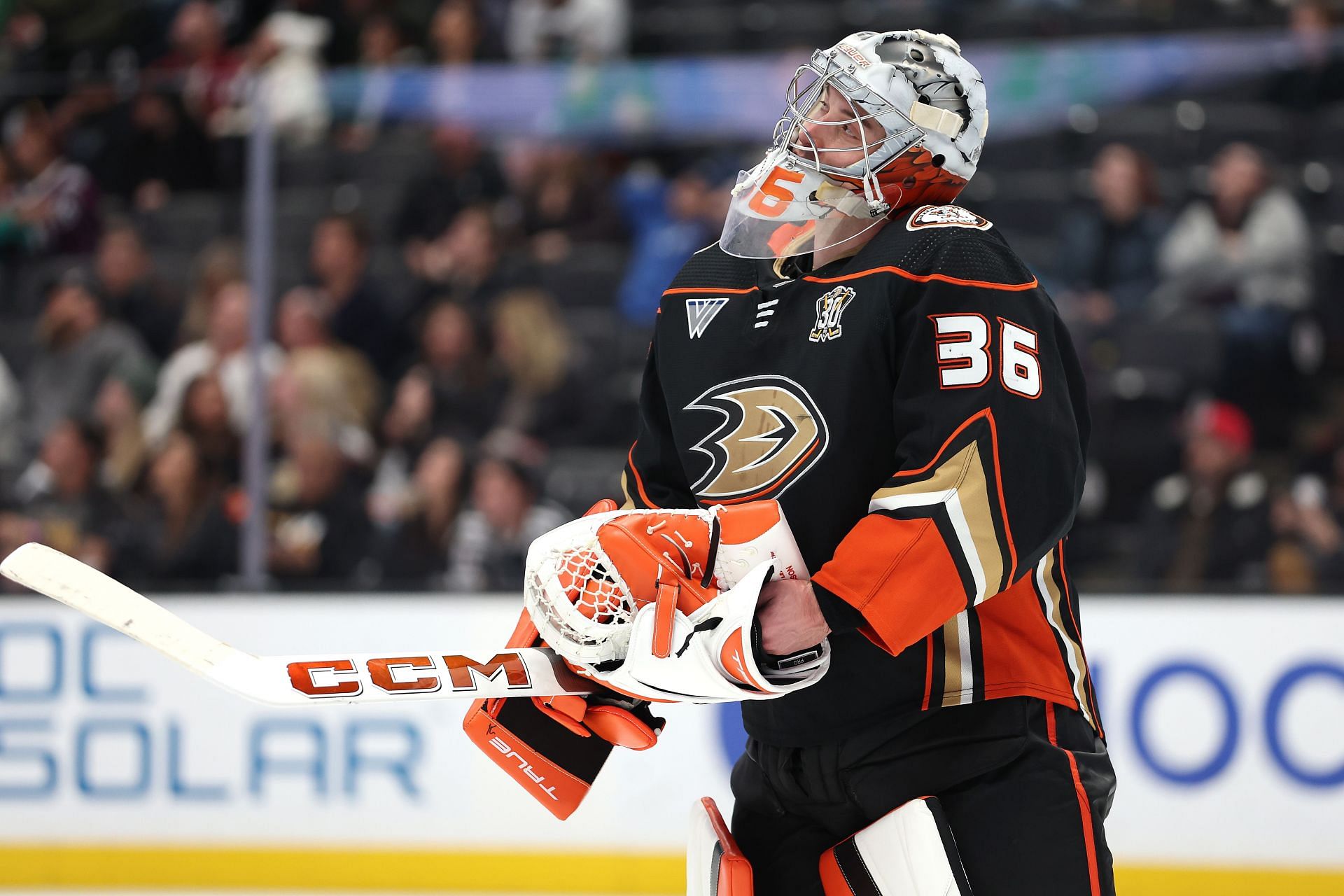 John Gibson of the NHL&#039;s Anaheim Ducks