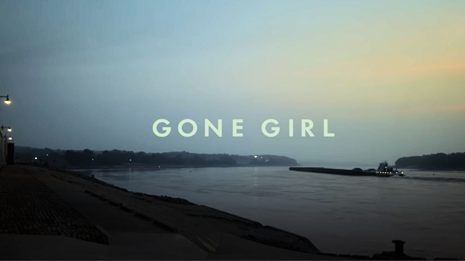 Gone Girl is inspired by real-life missing case (Image via 20th Century Fox)