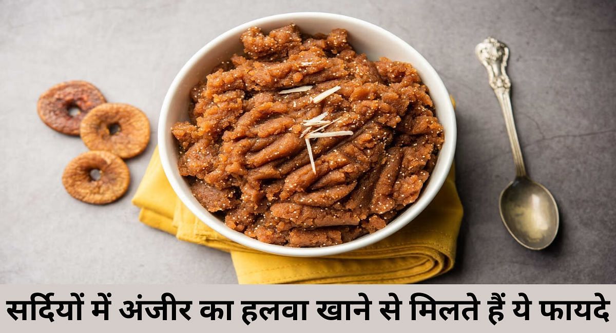 सर्दियों में अंजीर का हलवा खाने से मिलते हैं ये फायदे(फोटो-Sportskeeda hindi)