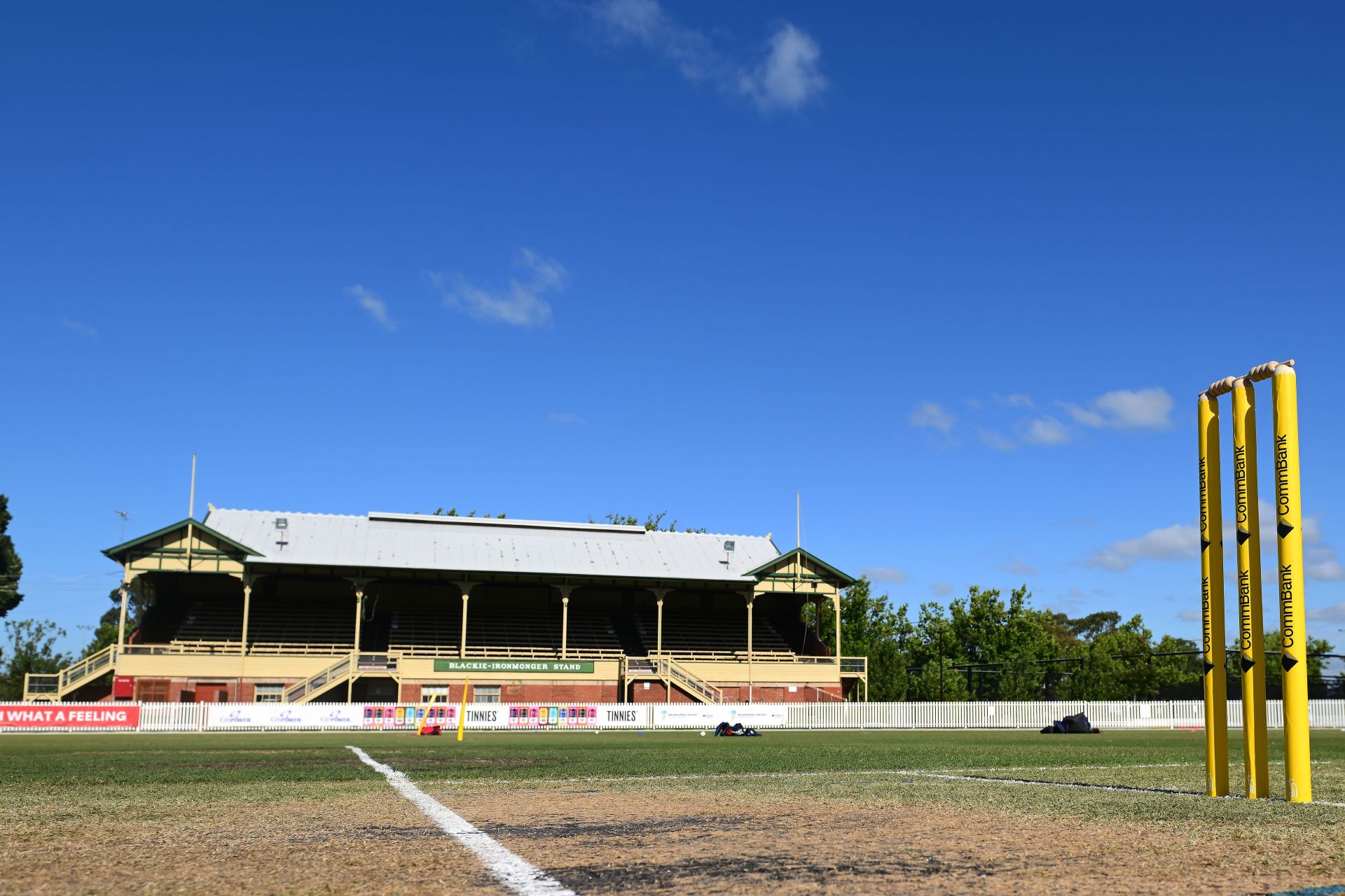 WNCL - VIC v NSW