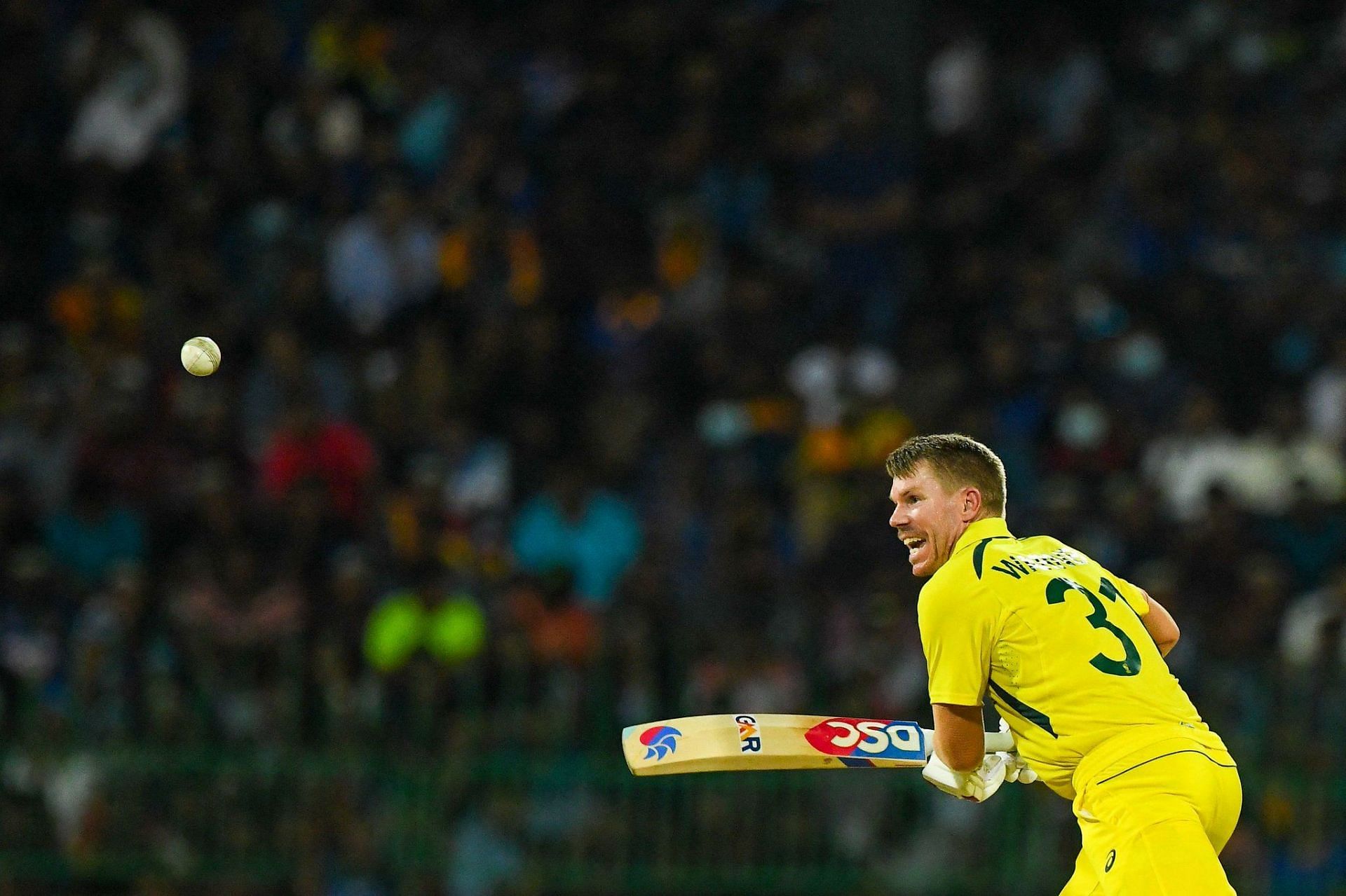 David Warner. (Image Credits: Twitter)