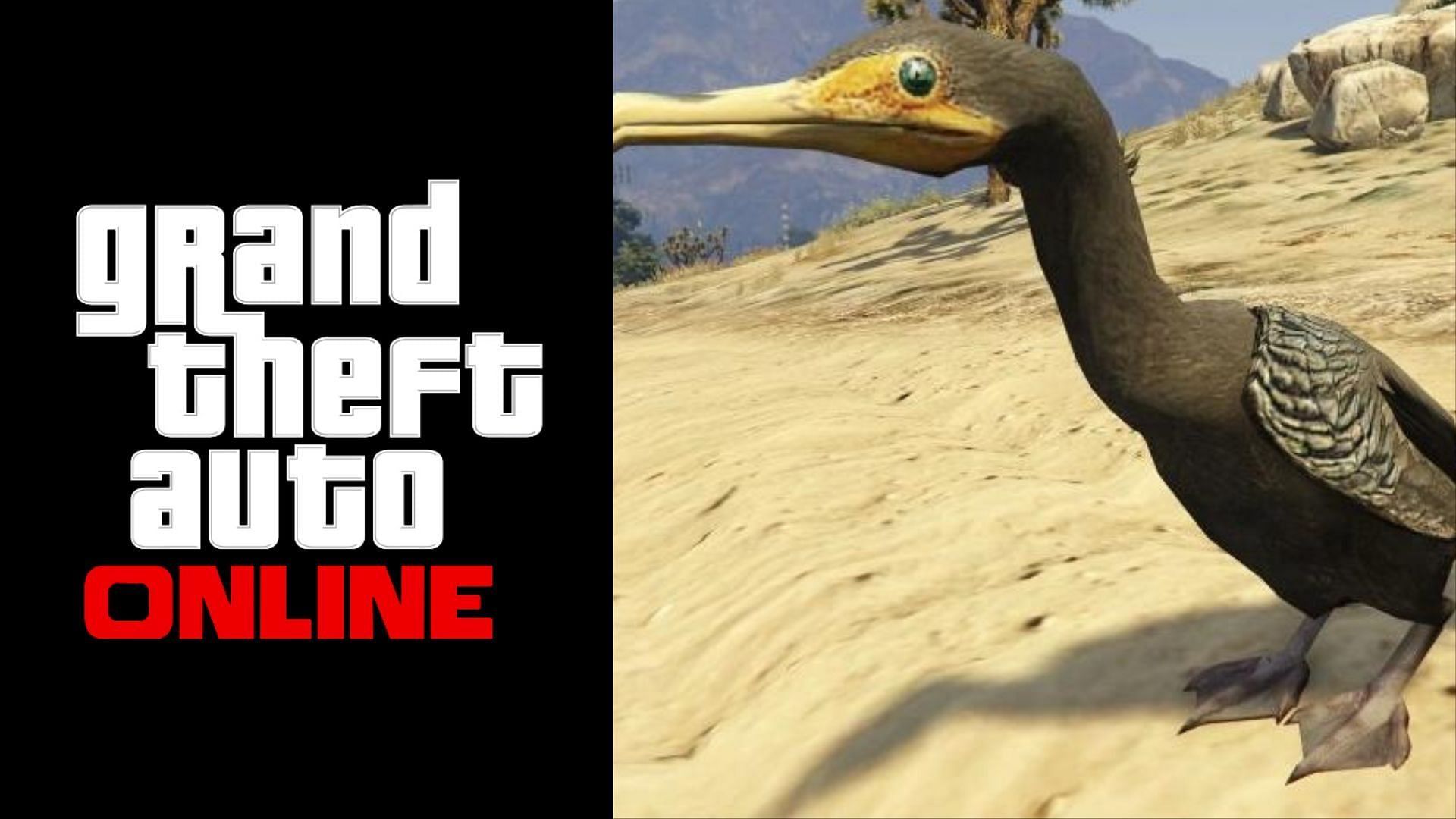 cormorant locations in GTA Online Wildlife Photography Challenge