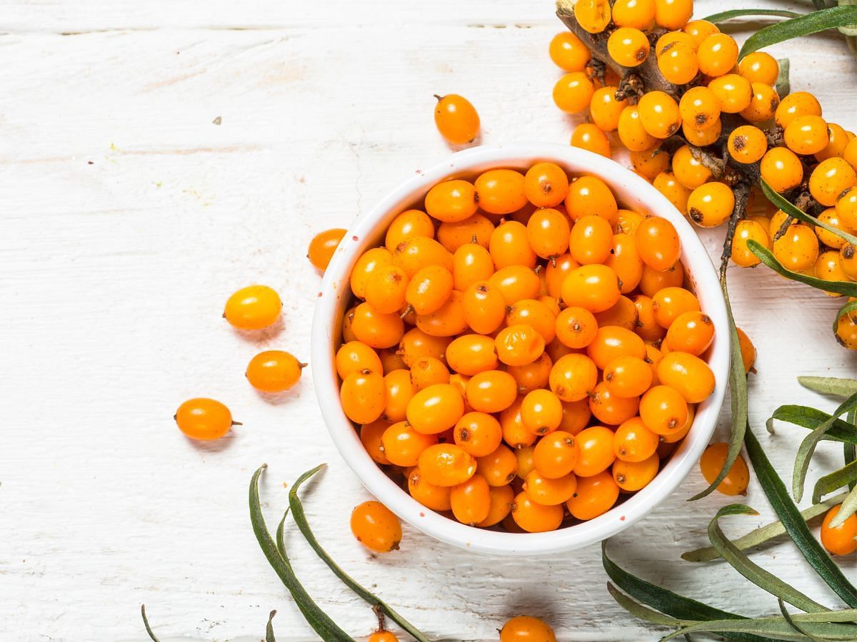 Beauty benefits of Sea Buckthorn for your hair care (Image via Pexels)