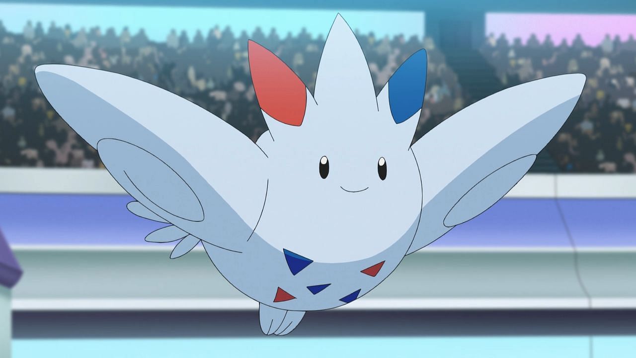 Togekiss as seen in the anime (Image via The Pokemon Company)