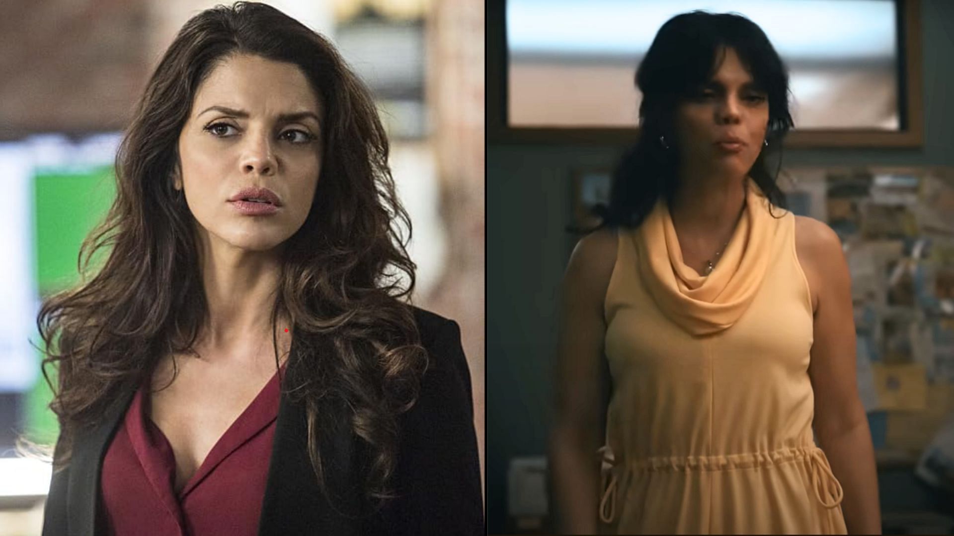 Vanessa Ferlito plays Carmen in the series (Image via IMDb and CBS)