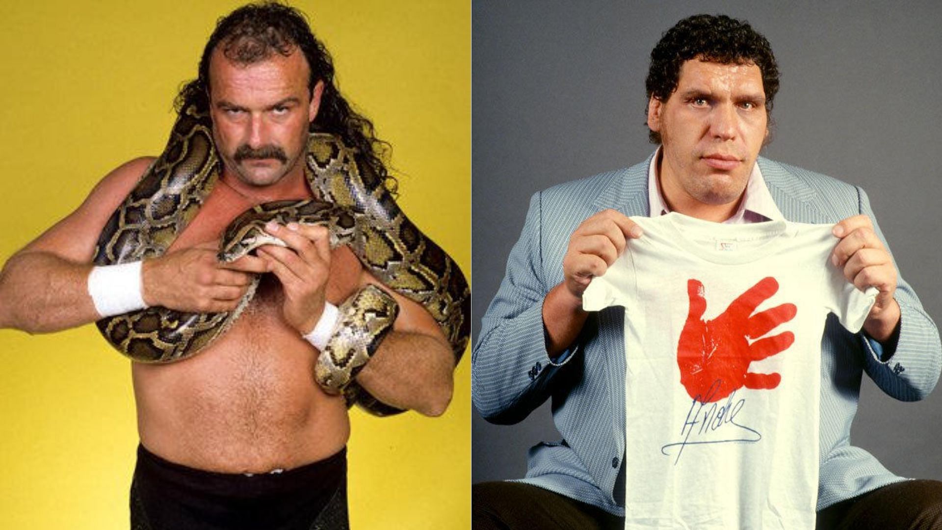 Jake Roberts (left); Andre the Giant (right)