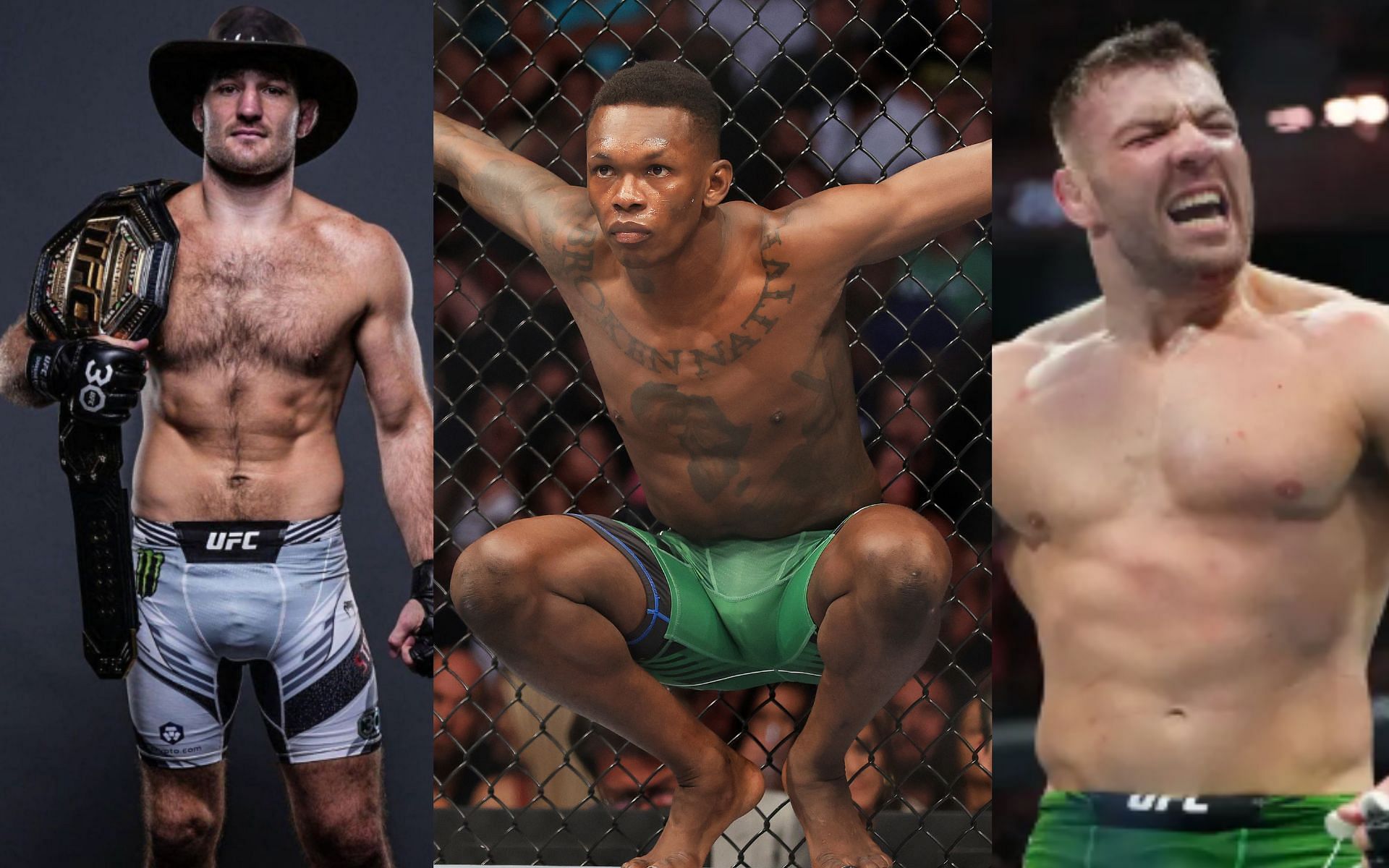 UFC Middleweight Rankings