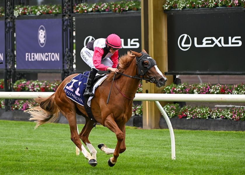 best horse in the world racing