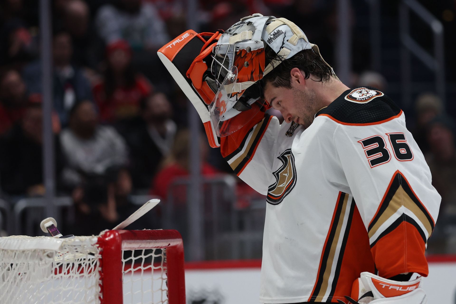 Anaheim Ducks - John Gibson