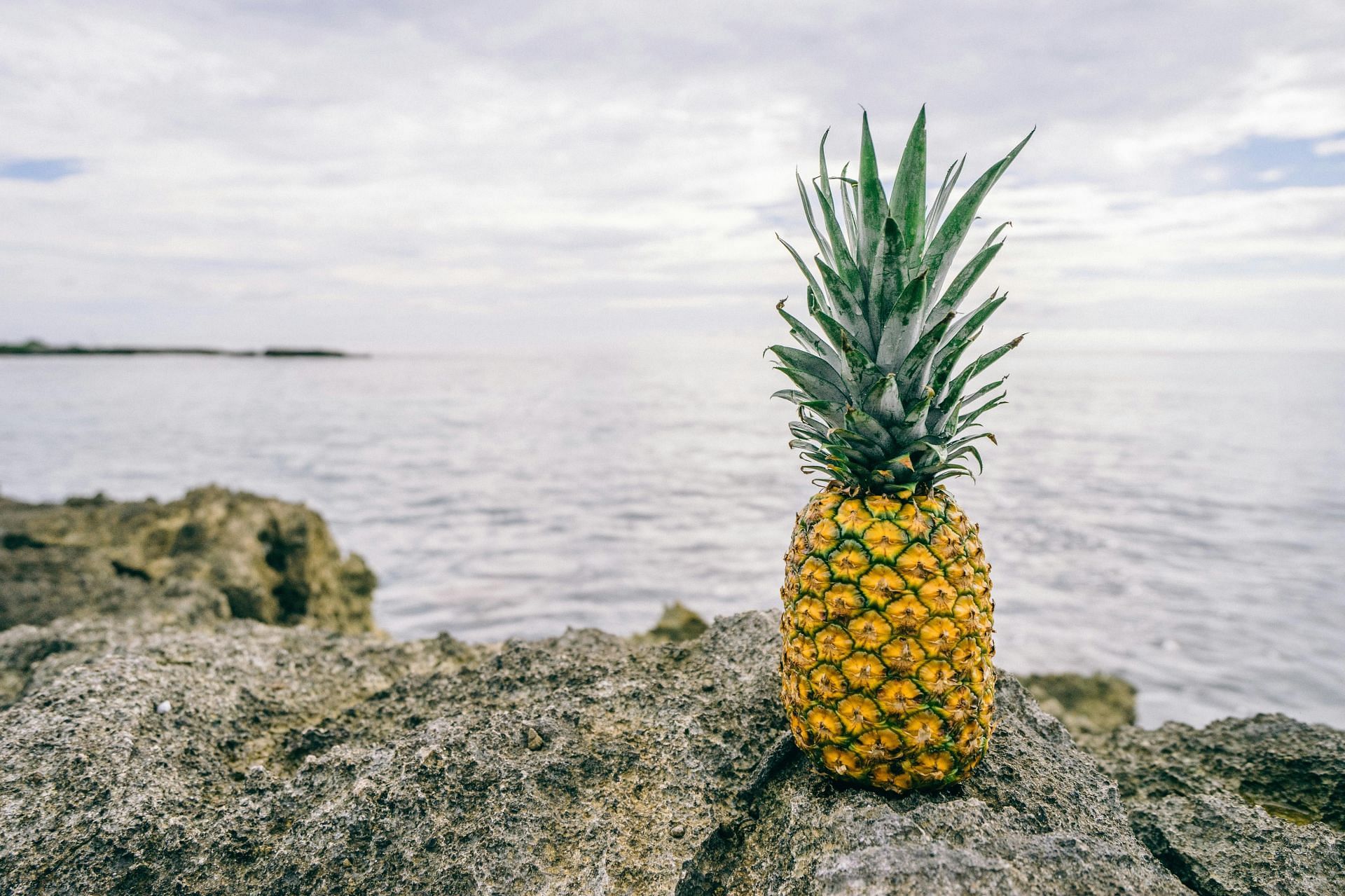 Symptoms of pineapple allergy (image sourced via Pexels / Photo by pineapple supply)