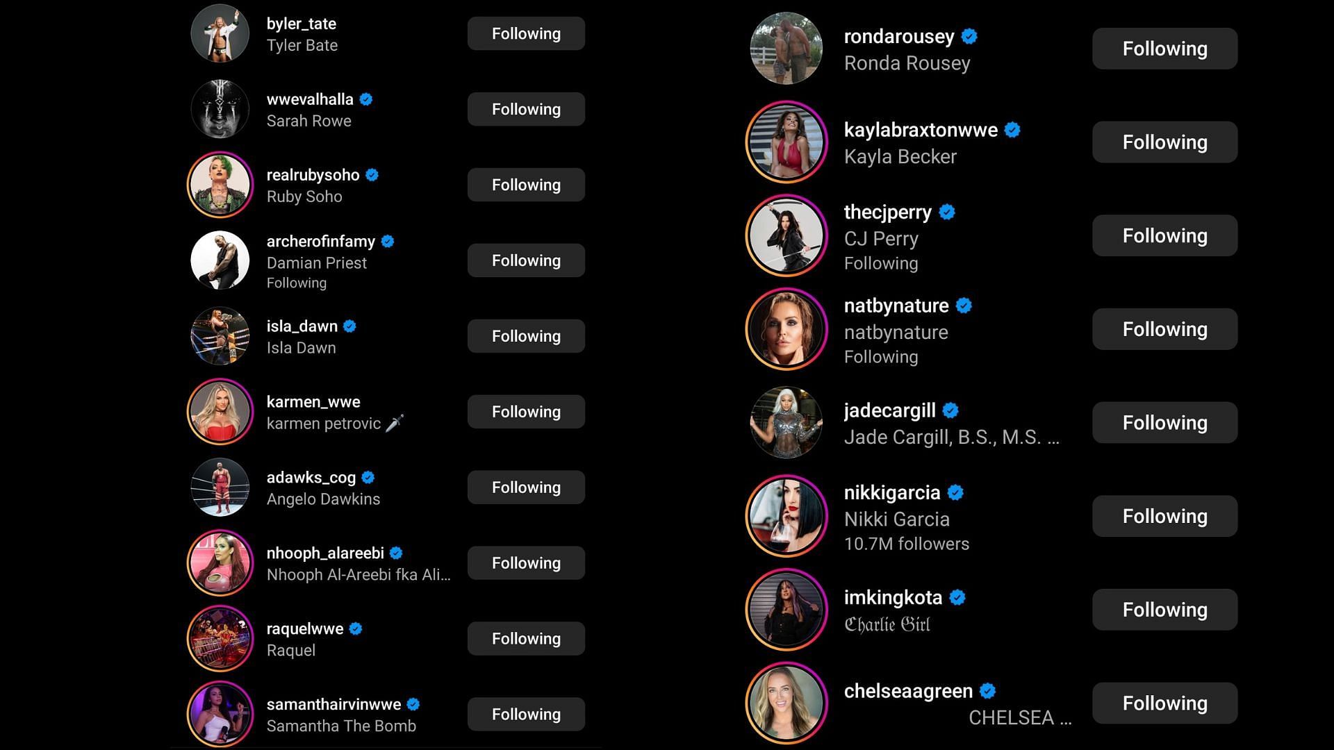 Screengrab of stars' likes on Liv Morgan's Instagram post.