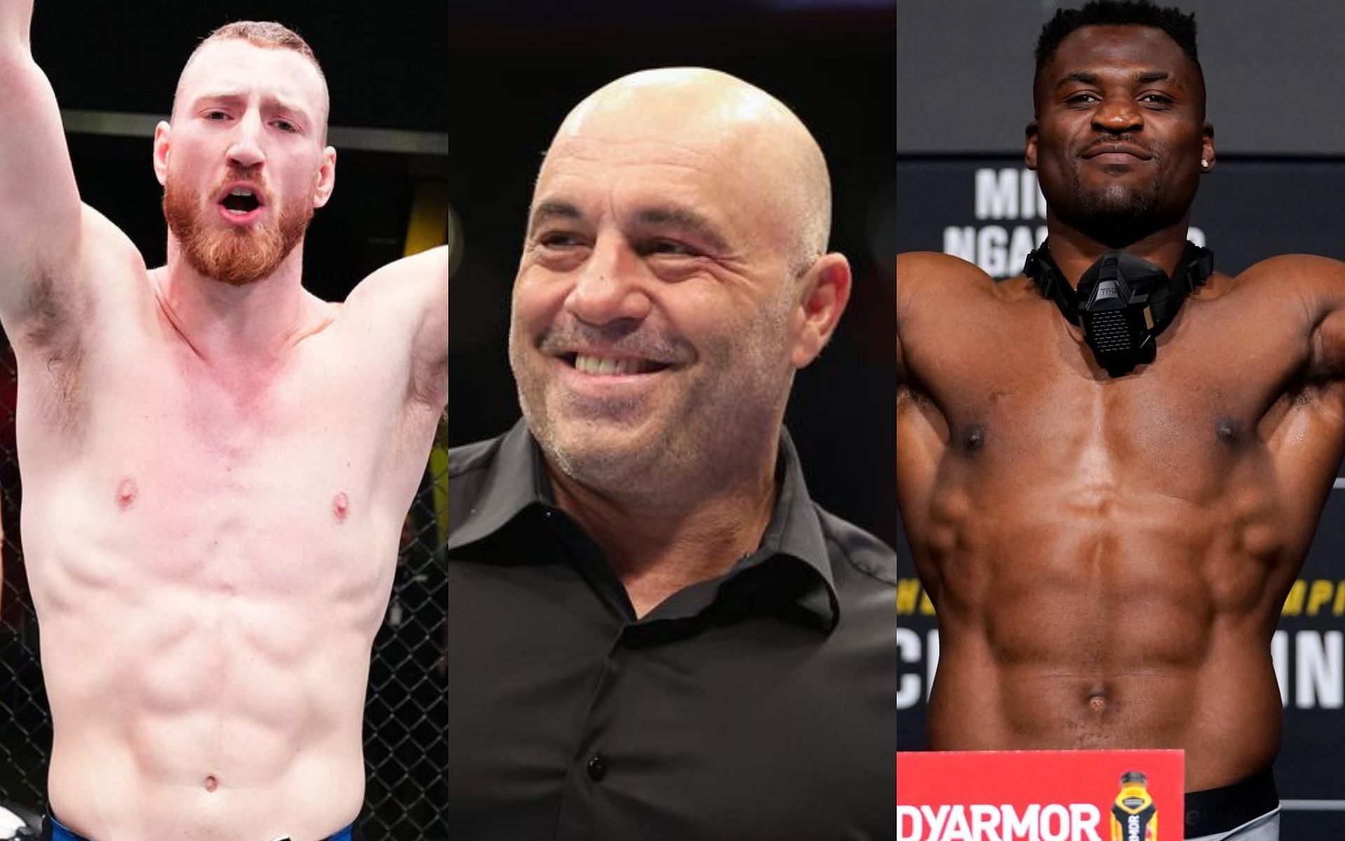 Joe Rogan Talks Joe Pyfer Punching Harder Than Francis Ngannou, Fans ...