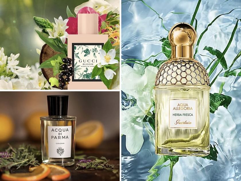 11 of the Best Perfumes of All Time