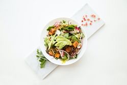 Here are the reasons why you need a Parasite Cleanse