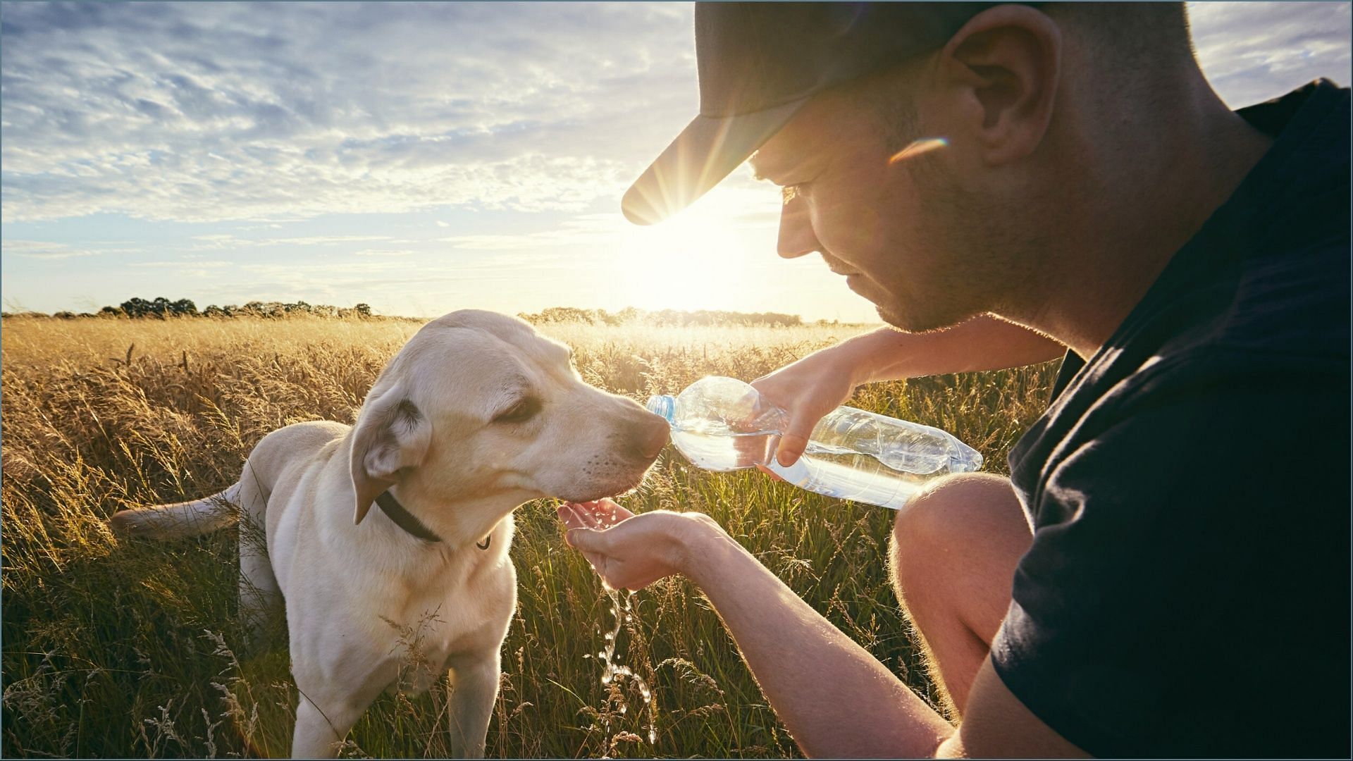 The pet food maker said the rumors may be made by people trying to promote their products (Image via Purina)