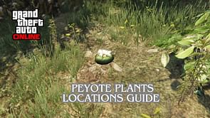 GTA Online Peyote Plants are back: Check map locations here