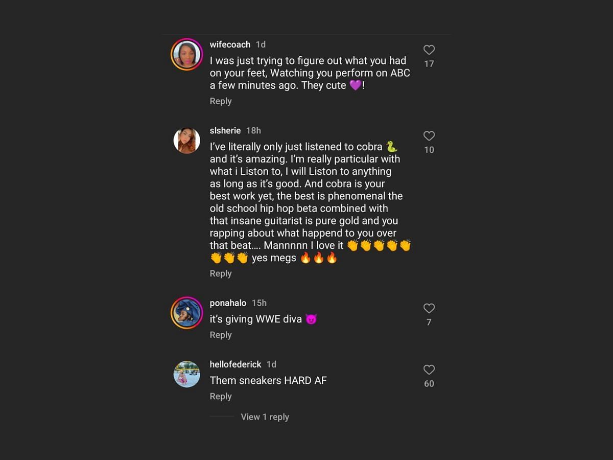 Fans give mixed reactions to Megan Thee Stallion and Nike collaboration (Image via Instagram/@theestallion)