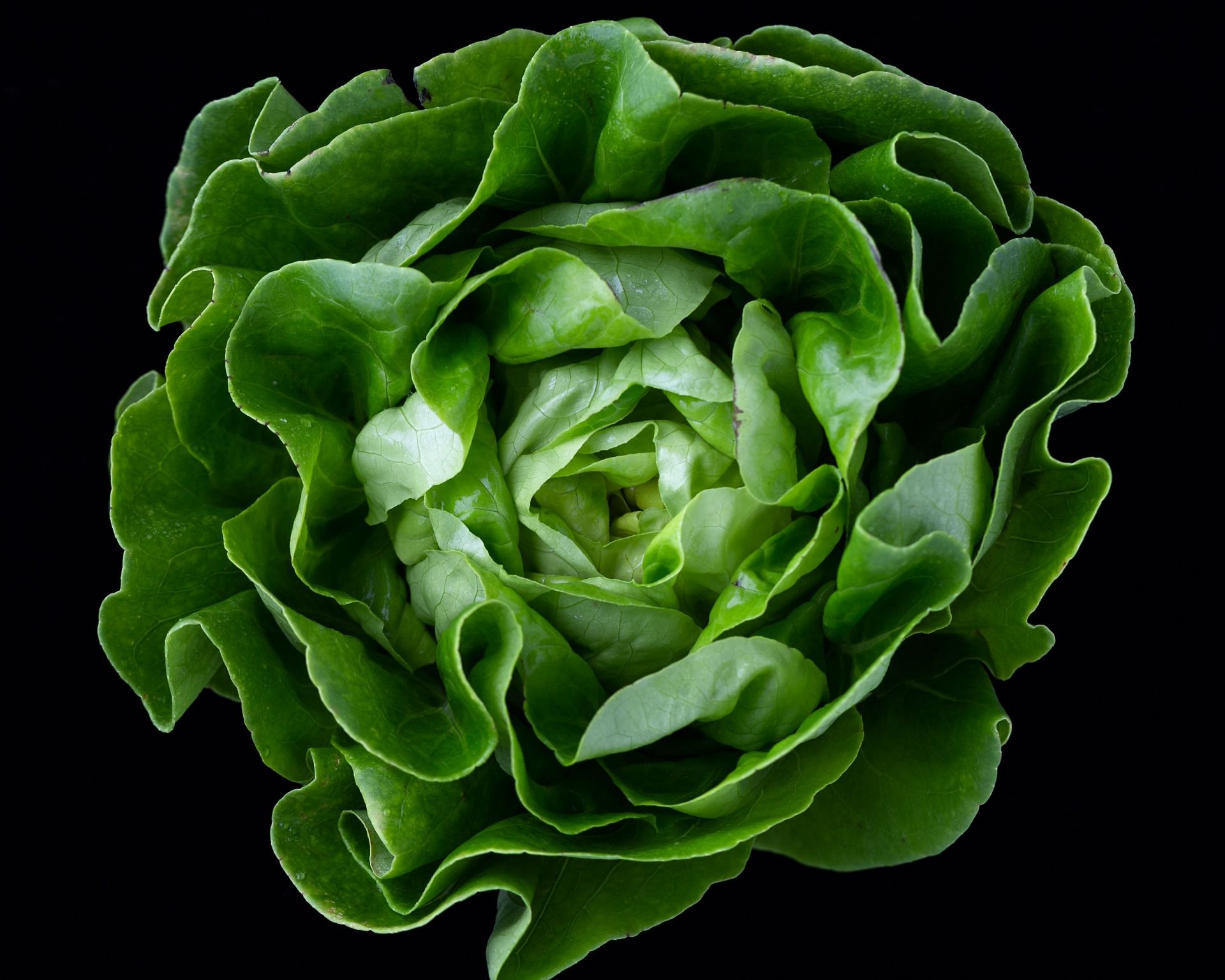 Eating raw vegetables (Image via Unsplash/Mae Mu)