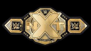 3 reasons why WWE is postponing former NXT Champion's main roster debut
