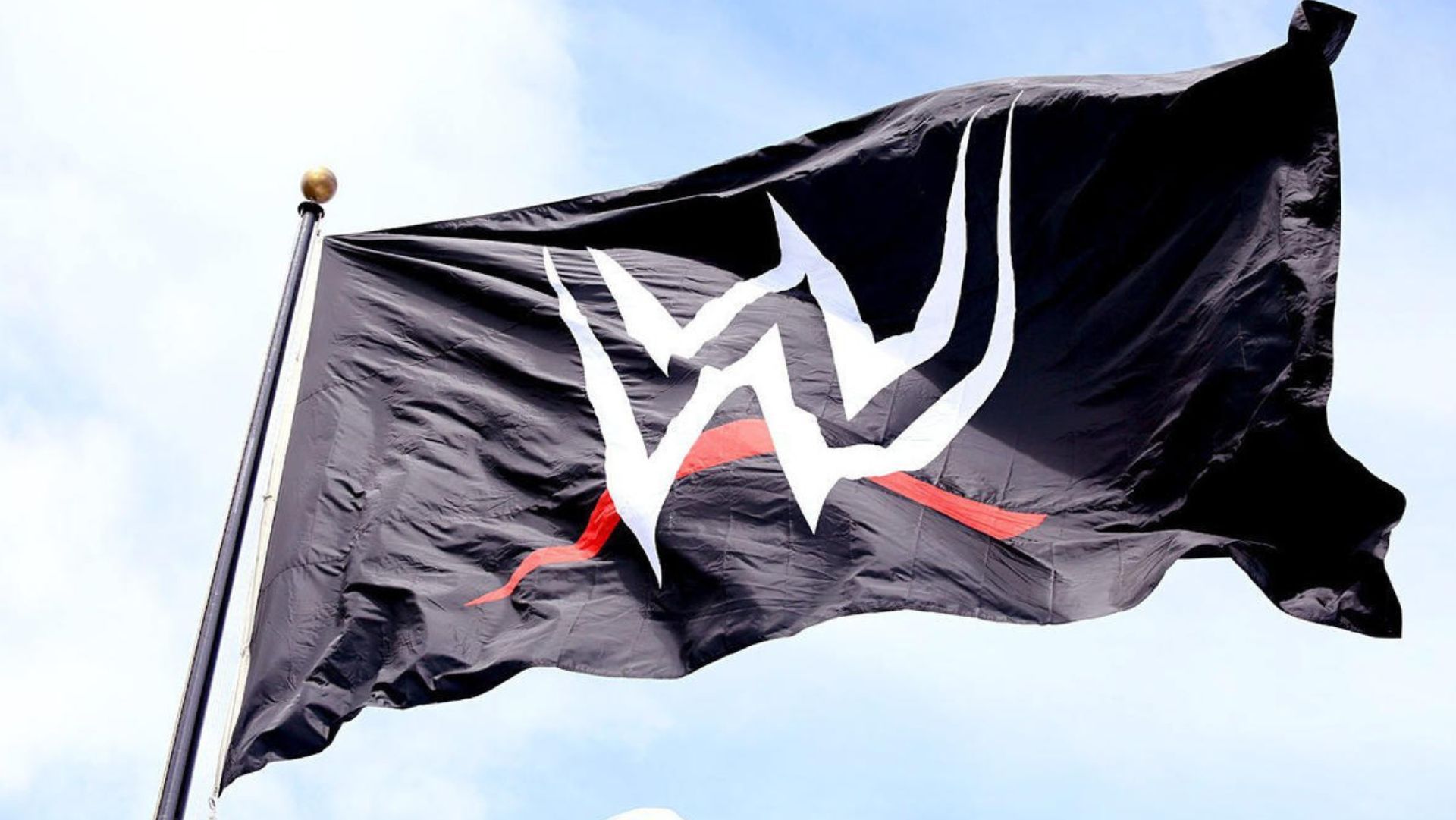WWE has merged with UFC to form TKO.