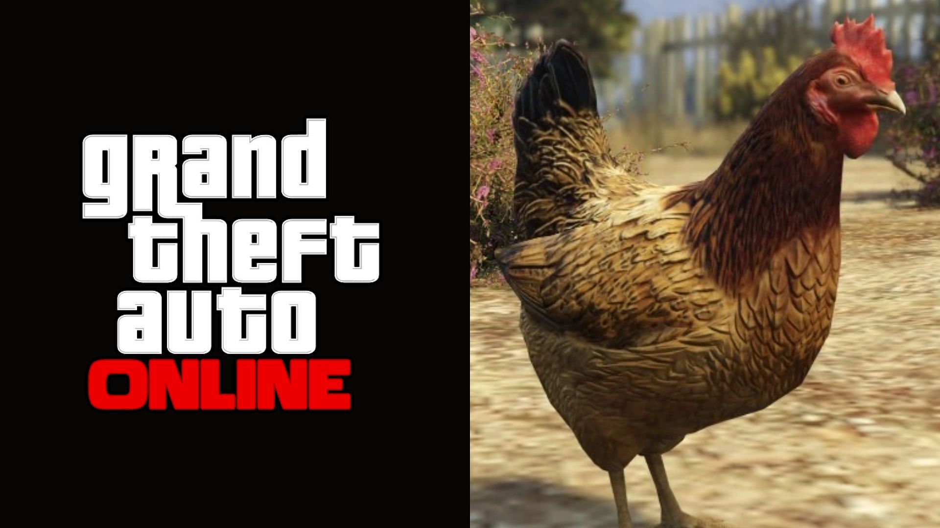 Gta online hen location