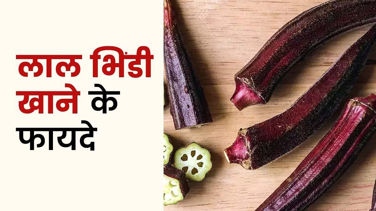 लाल भिंडी खाने के फायदे (sportskeeda Hindi) 
