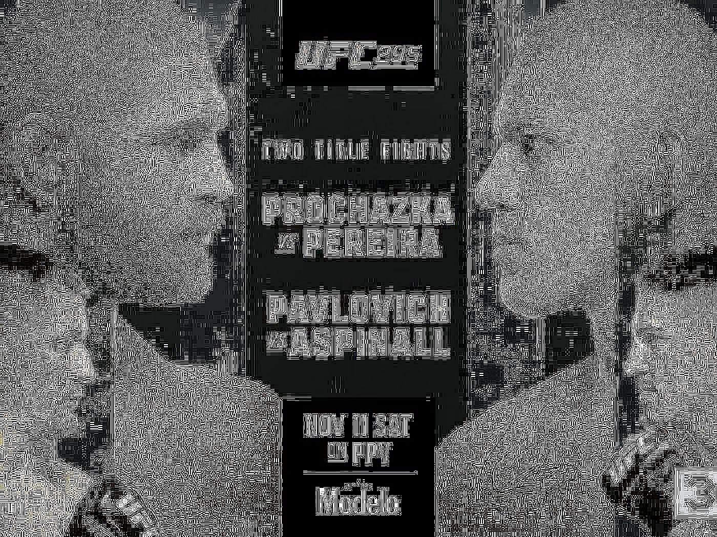 UFC 295 [Image via @ufceurope on X]