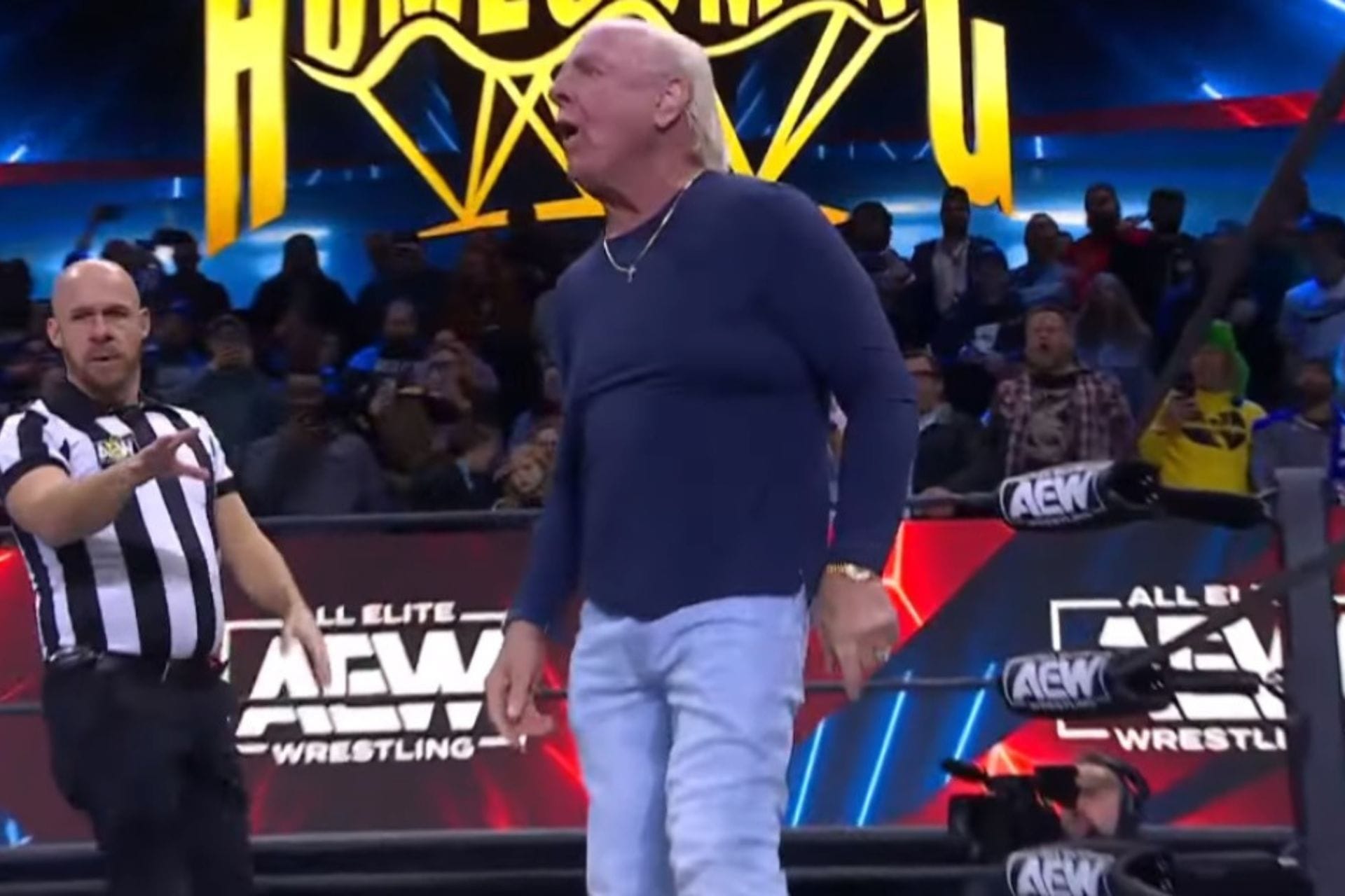 Ric Flair gets physical with a 32-year-old AEW star on Dynamite